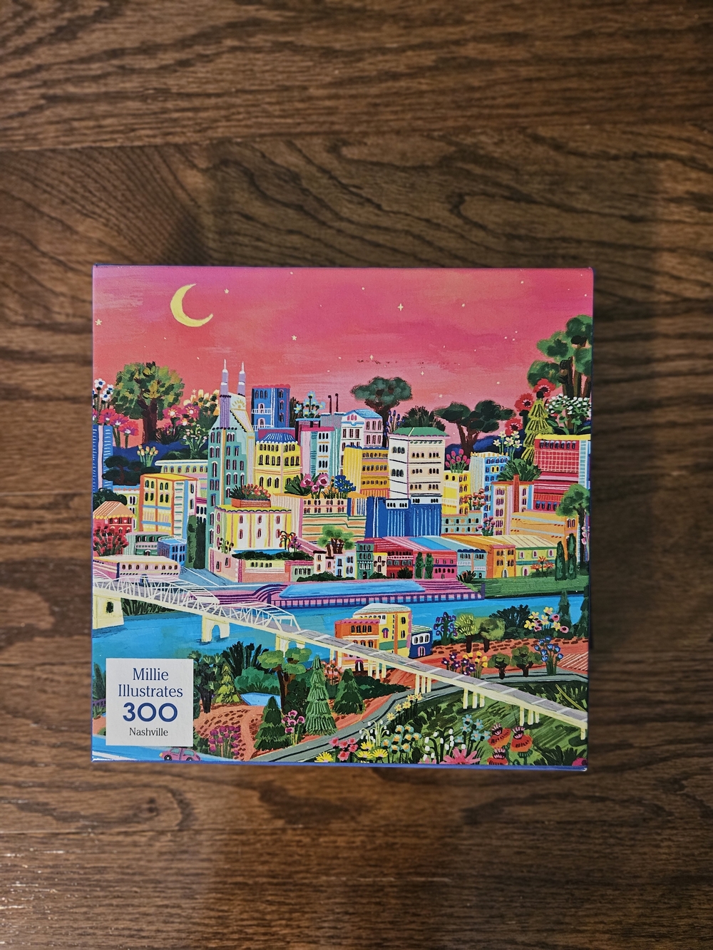 Millie Illustrates Charleston 300-Piece Jigsaw Puzzle